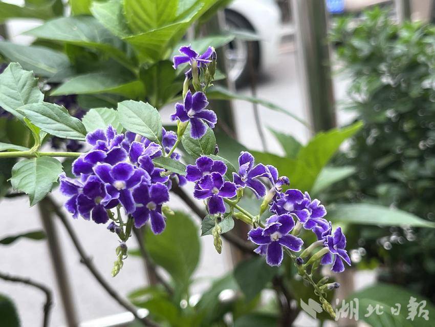 游艇会最新官方网站